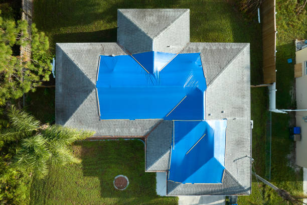 Best Roofing for New Construction  in Brentwood, TN