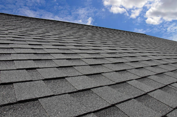 Best Skylight Installation and Repair  in Brentwood, TN